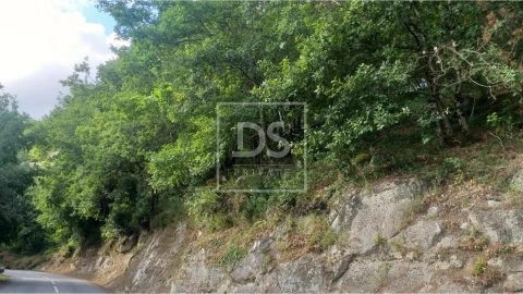 Terreno para Venda em Valdosende