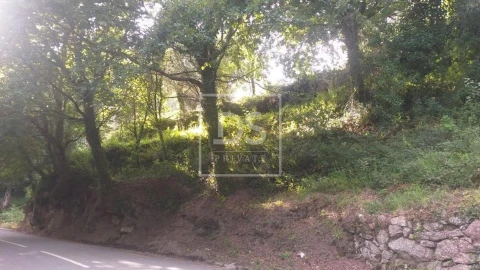 Terreno para Venda em Valdosende