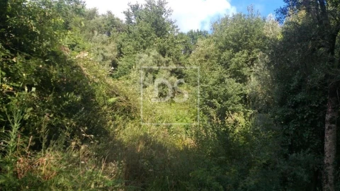 Terreno para Venda em Valdosende