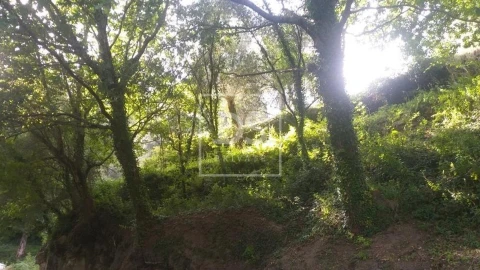 Terreno para Venda em Valdosende
