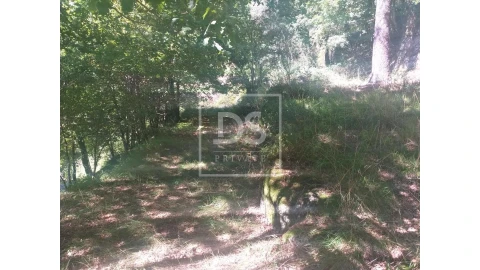 Terreno para Venda em Valdosende