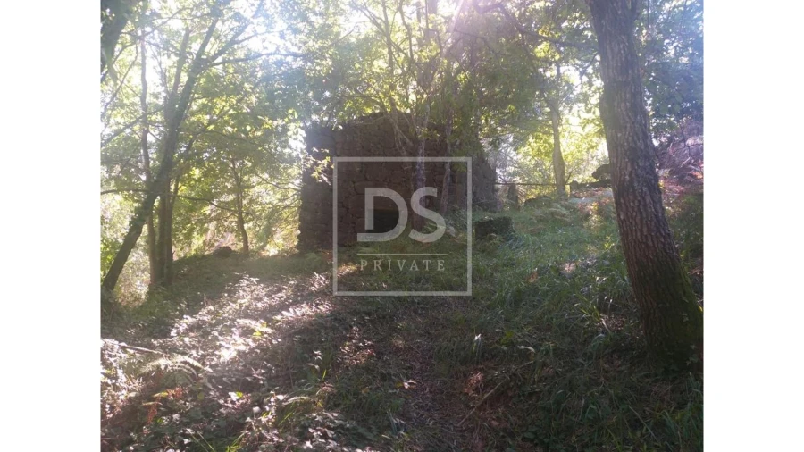 Terreno para Venda em Valdosende Foto 15