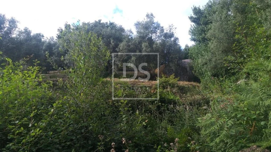 Terreno para Venda em Valdosende Foto 5