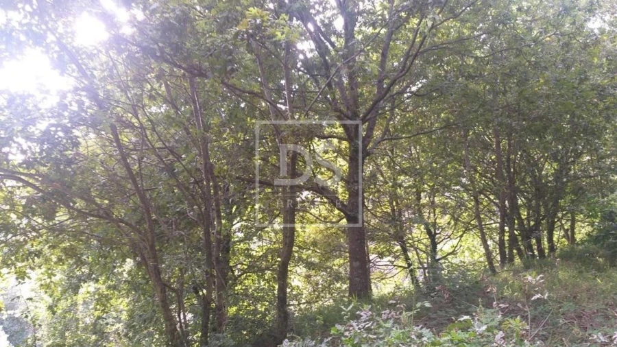 Terreno para Venda em Valdosende Foto 7