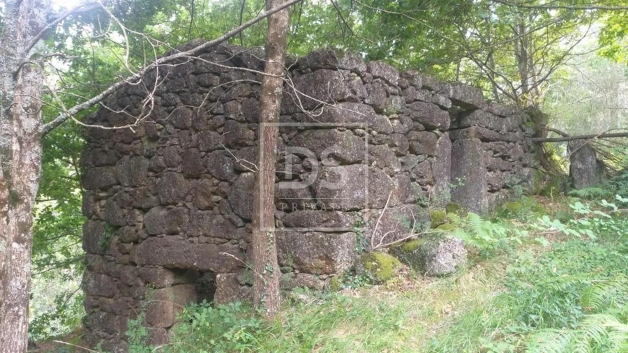 Terreno para Venda em Valdosende Foto 14