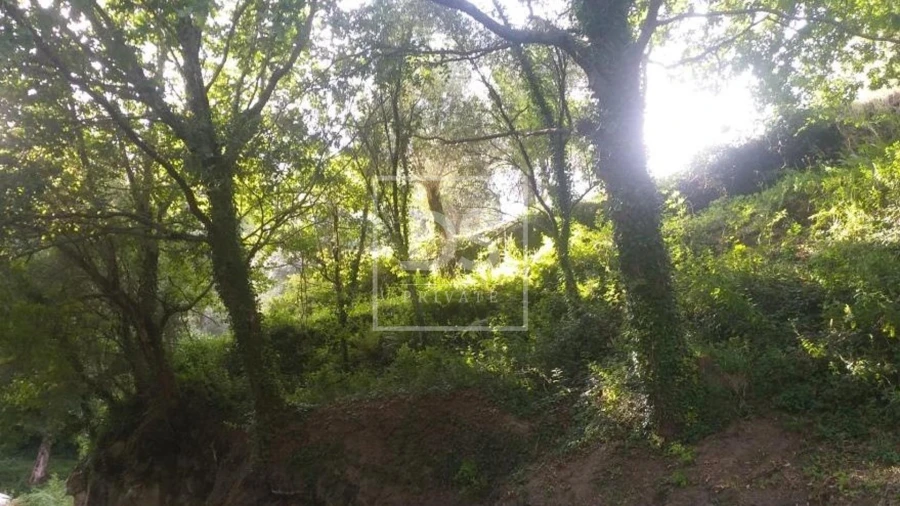Terreno para Venda em Valdosende Foto 12