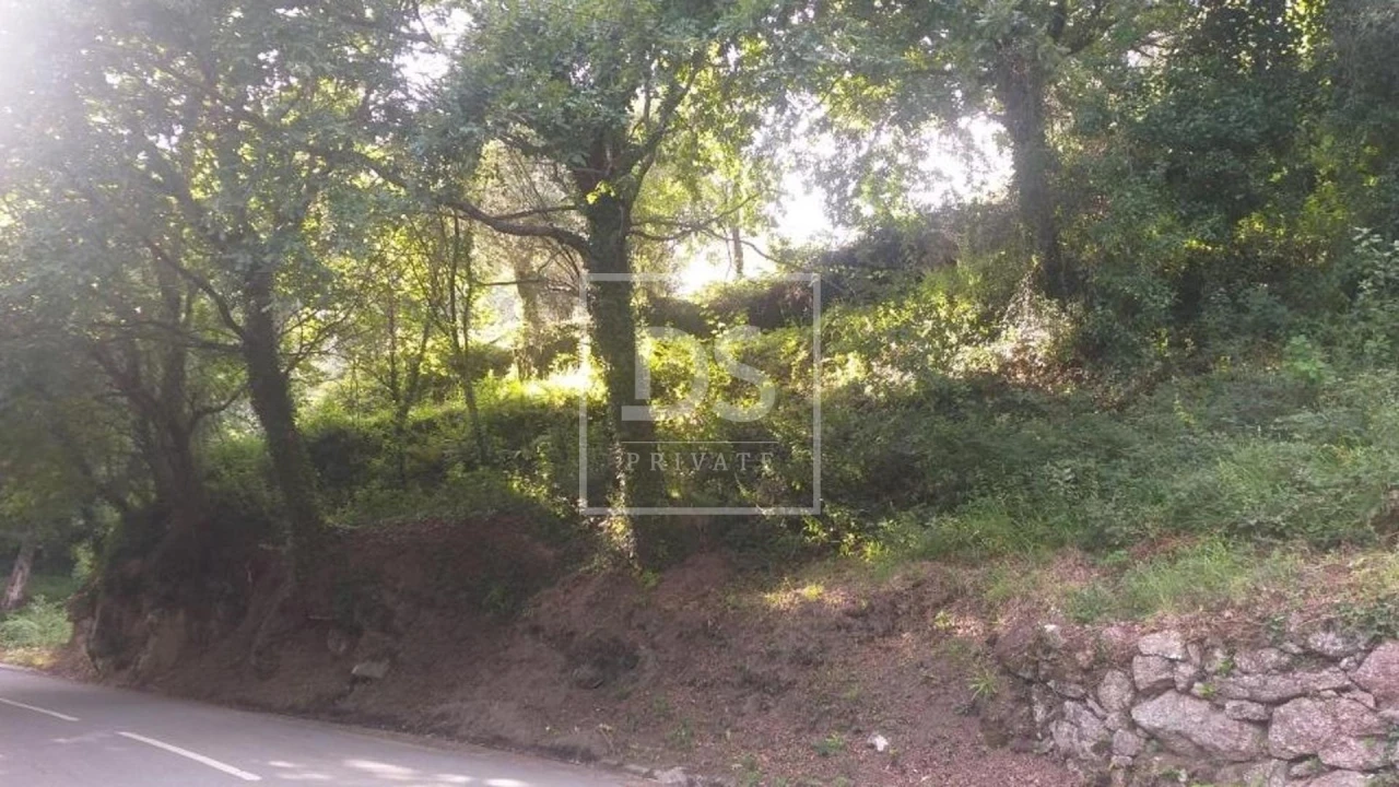 Terreno para Venda em Valdosende Foto 11