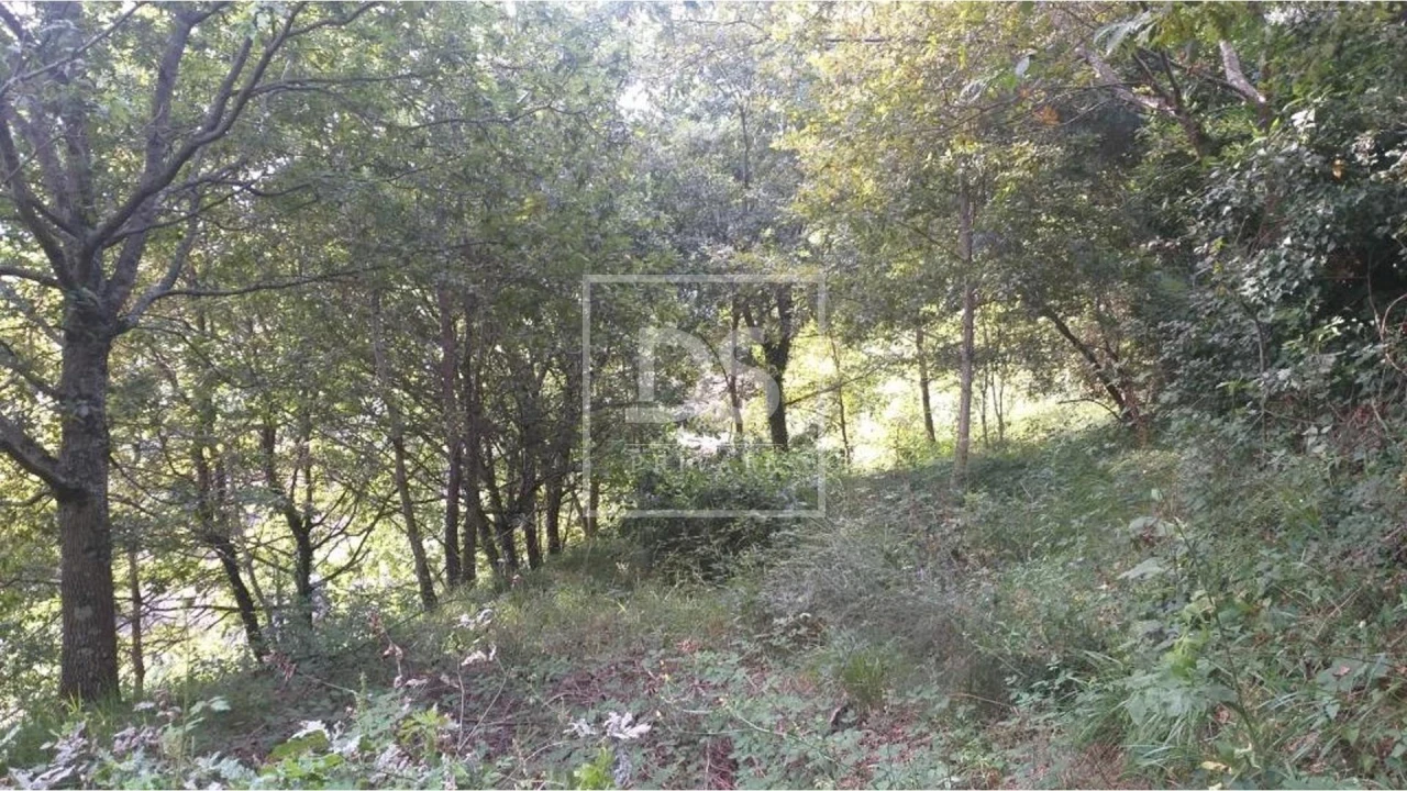 Terreno para Venda em Valdosende Foto 6