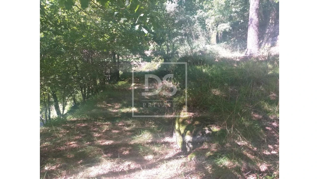 Terreno para Venda em Valdosende Foto 17