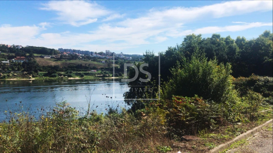 Terreno para Venda em Oliveira do Douro Foto 5