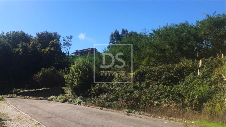 Terreno para Venda em Oliveira do Douro Foto 7