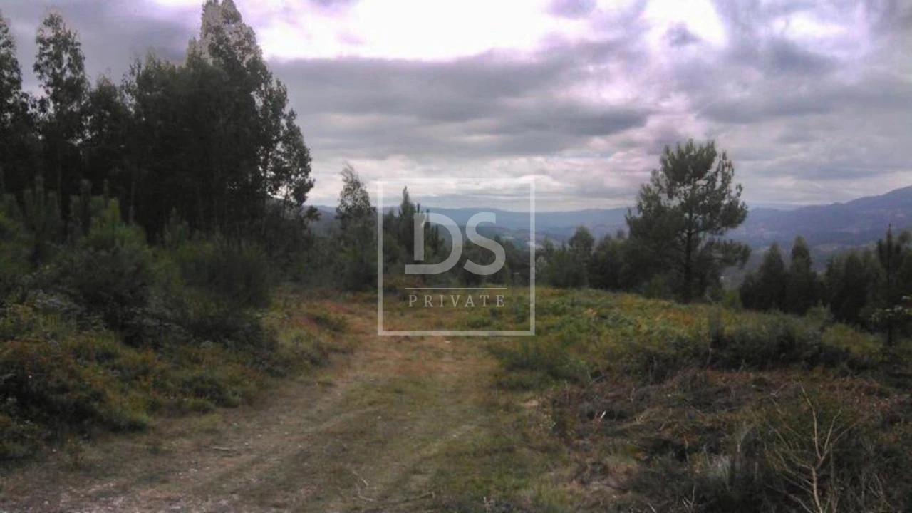Terreno para Venda em Valdosende Foto 2