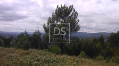 Terreno para Venda em Valdosende