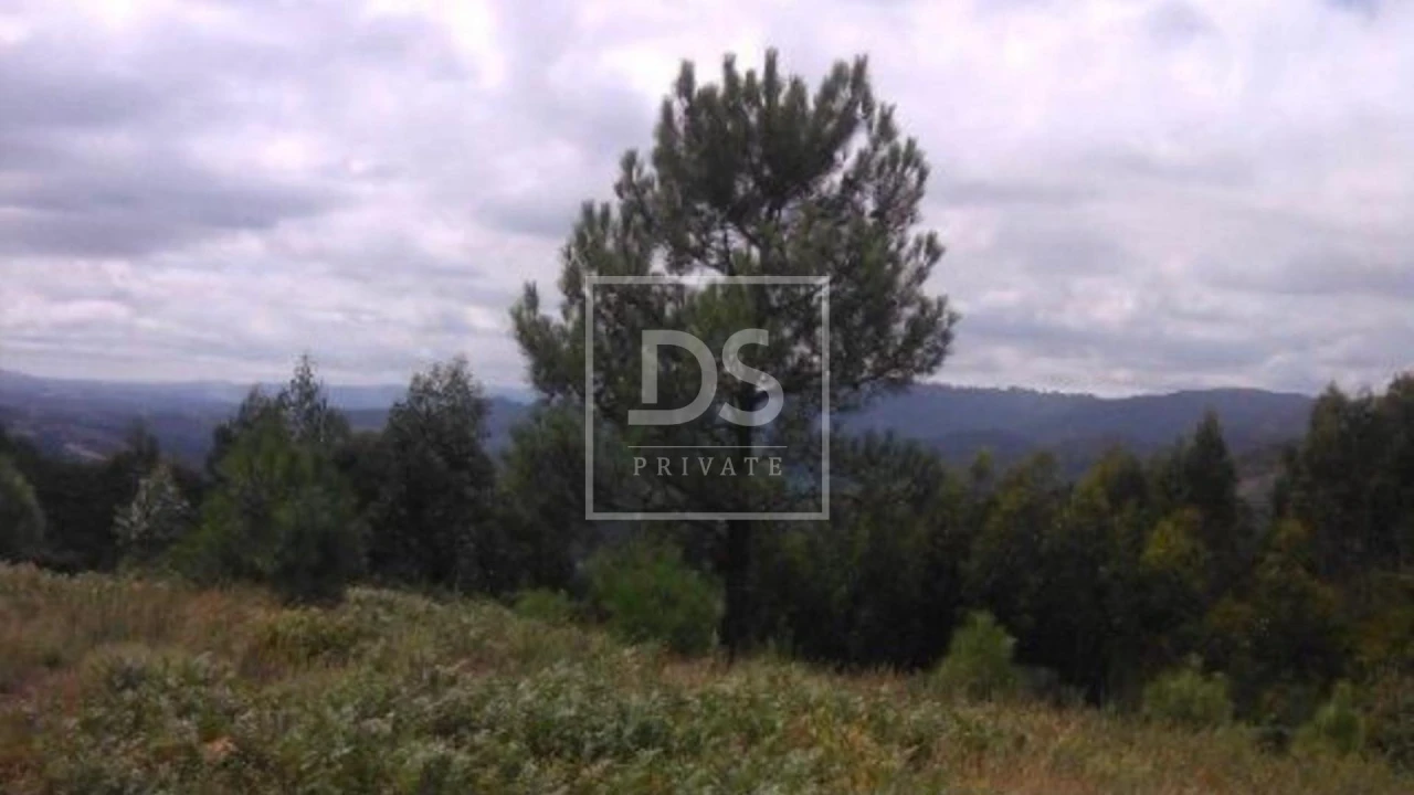 Terreno para Venda em Valdosende Foto 3