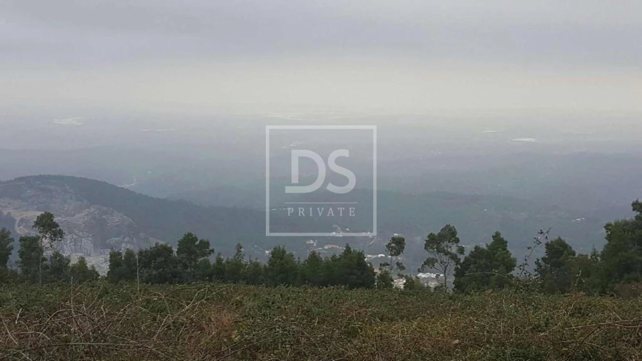 Terreno para Venda em Monchique Foto 7