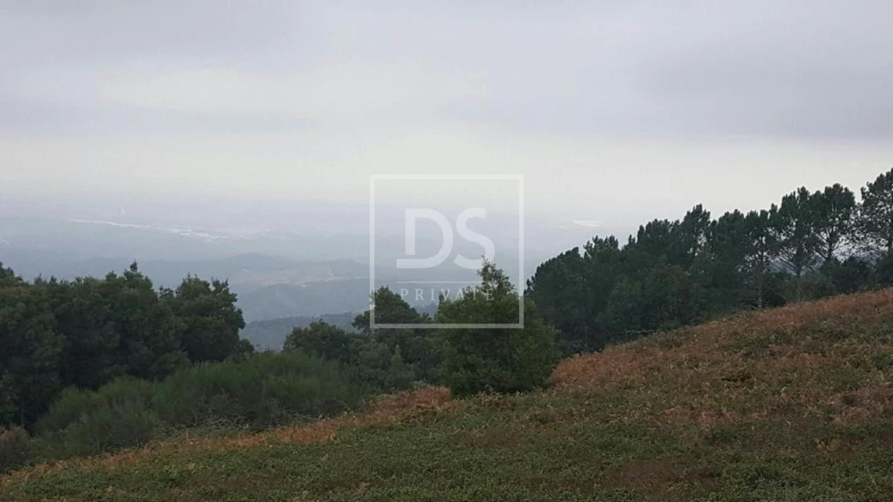 Terreno para Venda em Monchique Foto 11