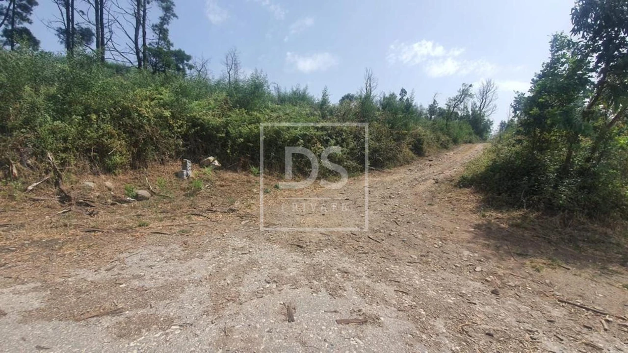 Terreno para Venda em Monchique Foto 3