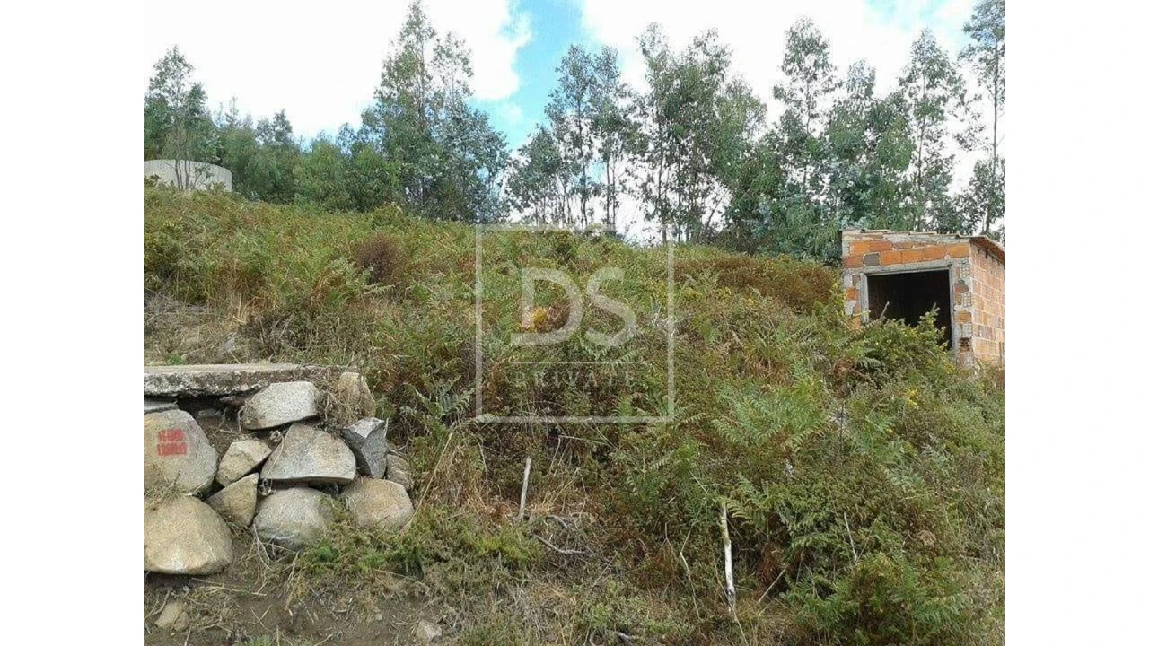 Terreno para Venda em Monchique Foto 10