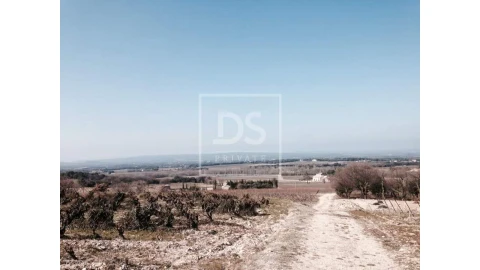 Terreno para Venda em Monchique