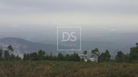 Terreno para Venda em Monchique