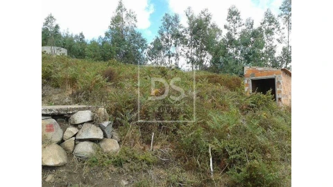 Terreno para Venda em Monchique
