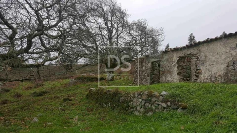 Terreno para Venda em Monchique