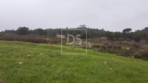 Terreno para Venda em Monchique