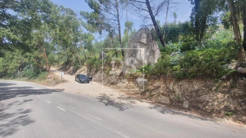 Terreno para Venda em Monchique