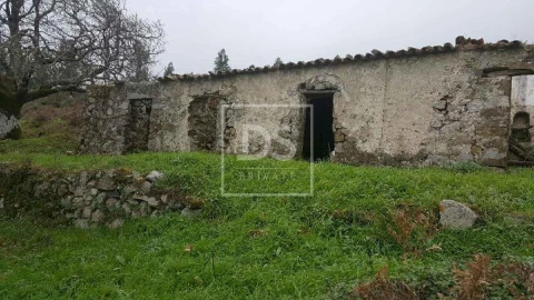 Terreno para Venda em Monchique
