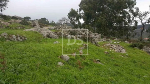 Terreno para Venda em Monchique