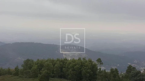 Terreno para Venda em Monchique