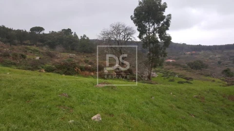 Terreno para Venda em Monchique