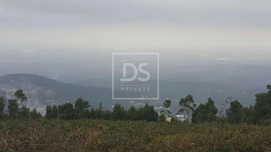 Terreno para Venda em Monchique Foto 7