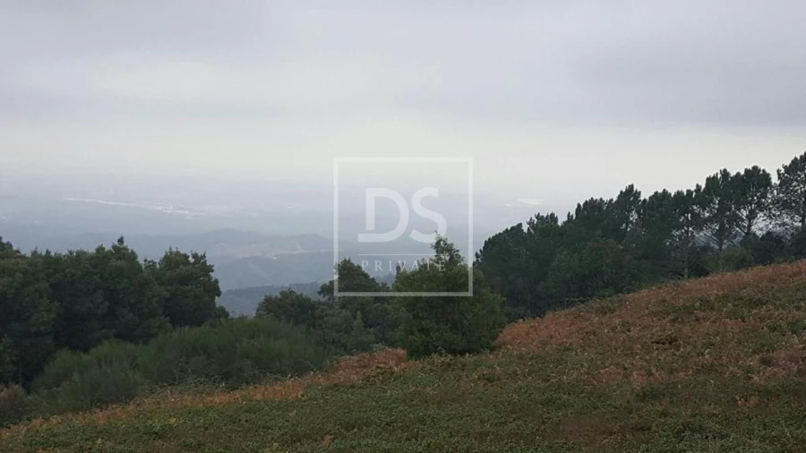 Terreno para Venda em Monchique Foto 11