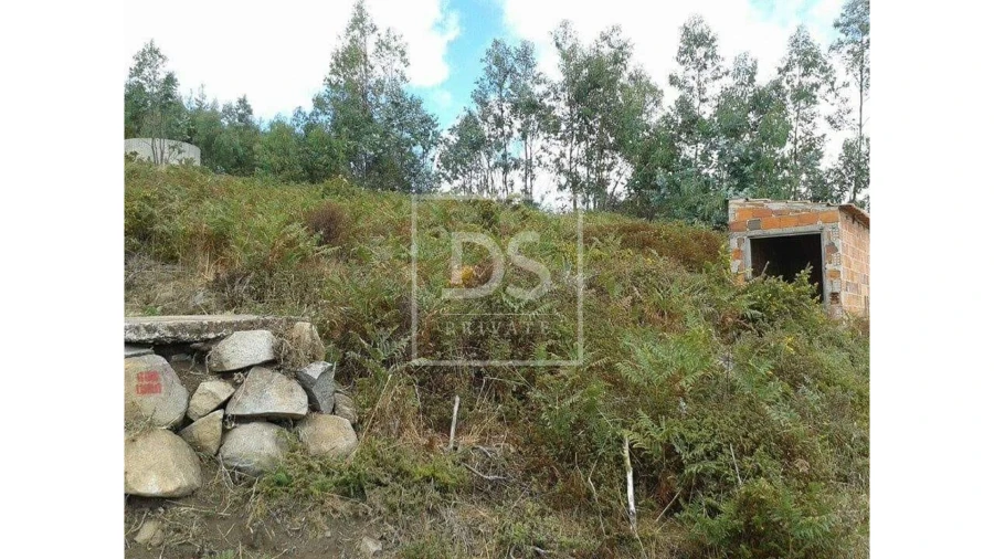 Terreno para Venda em Monchique Foto 10