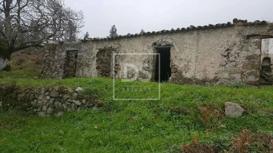Terreno para Venda em Monchique Foto 8