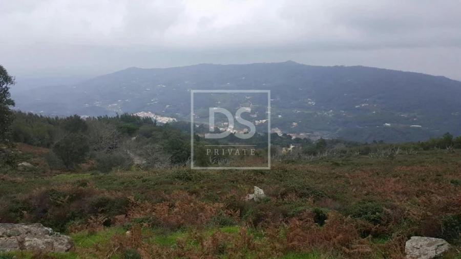 Terreno para Venda em Monchique Foto 13