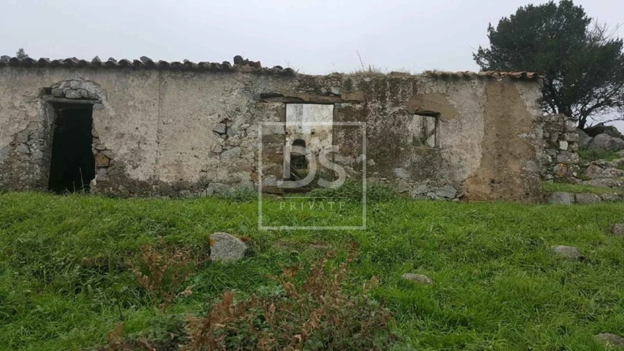 Terreno para Venda em Monchique Foto 9