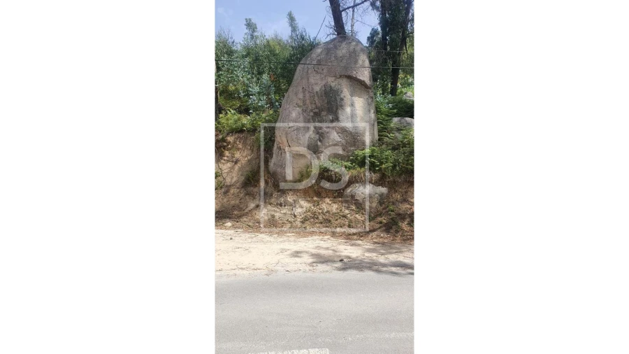 Terreno para Venda em Monchique Foto 5