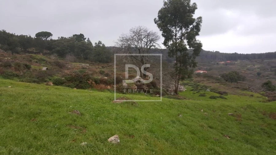 Terreno para Venda em Monchique Foto 19