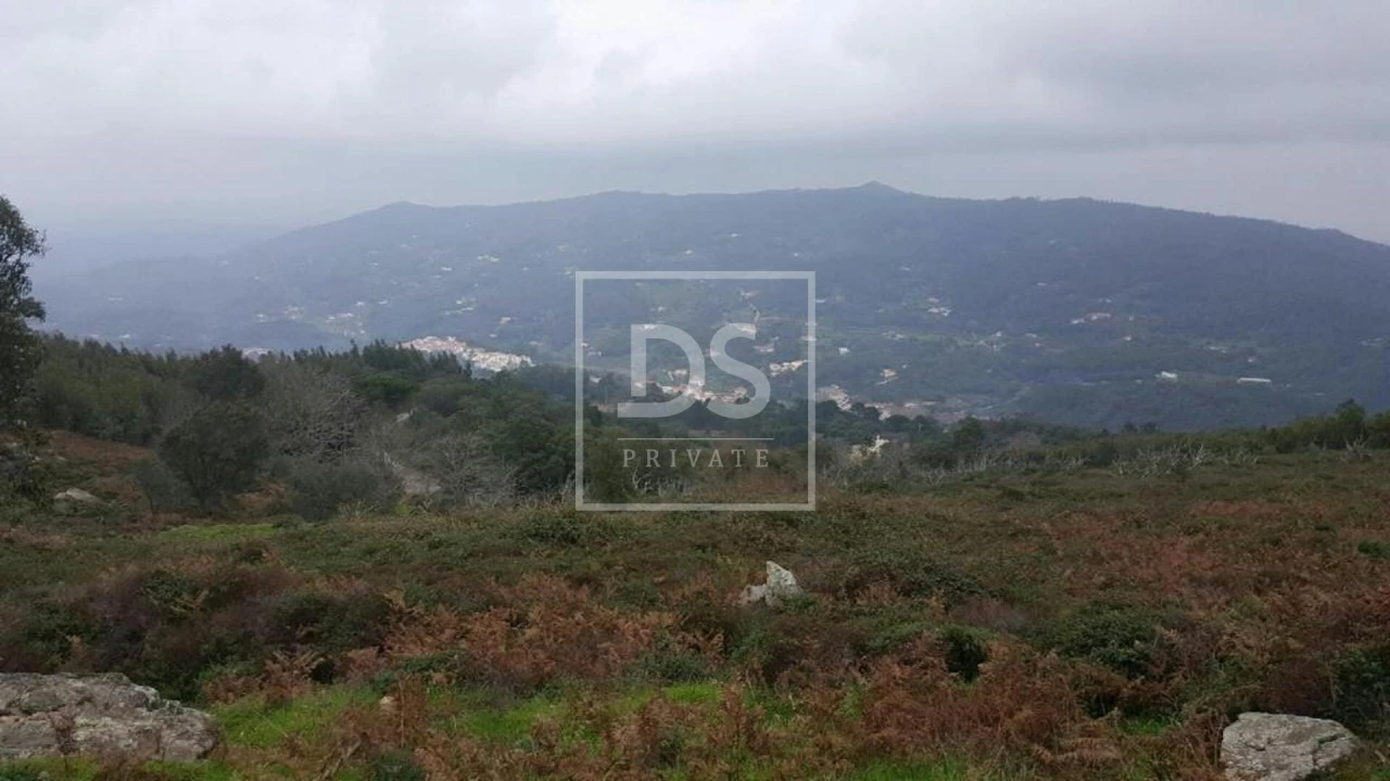 Terreno para Venda em Monchique Foto 13