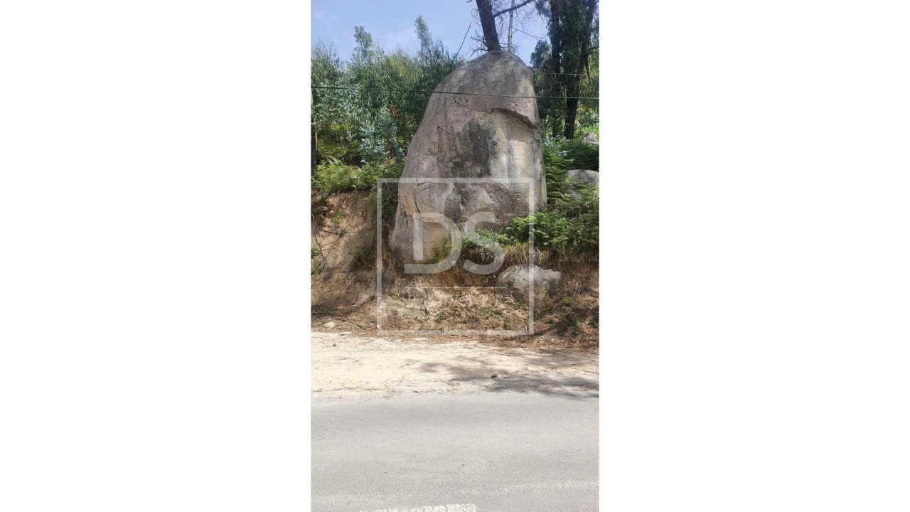 Terreno para Venda em Monchique Foto 5