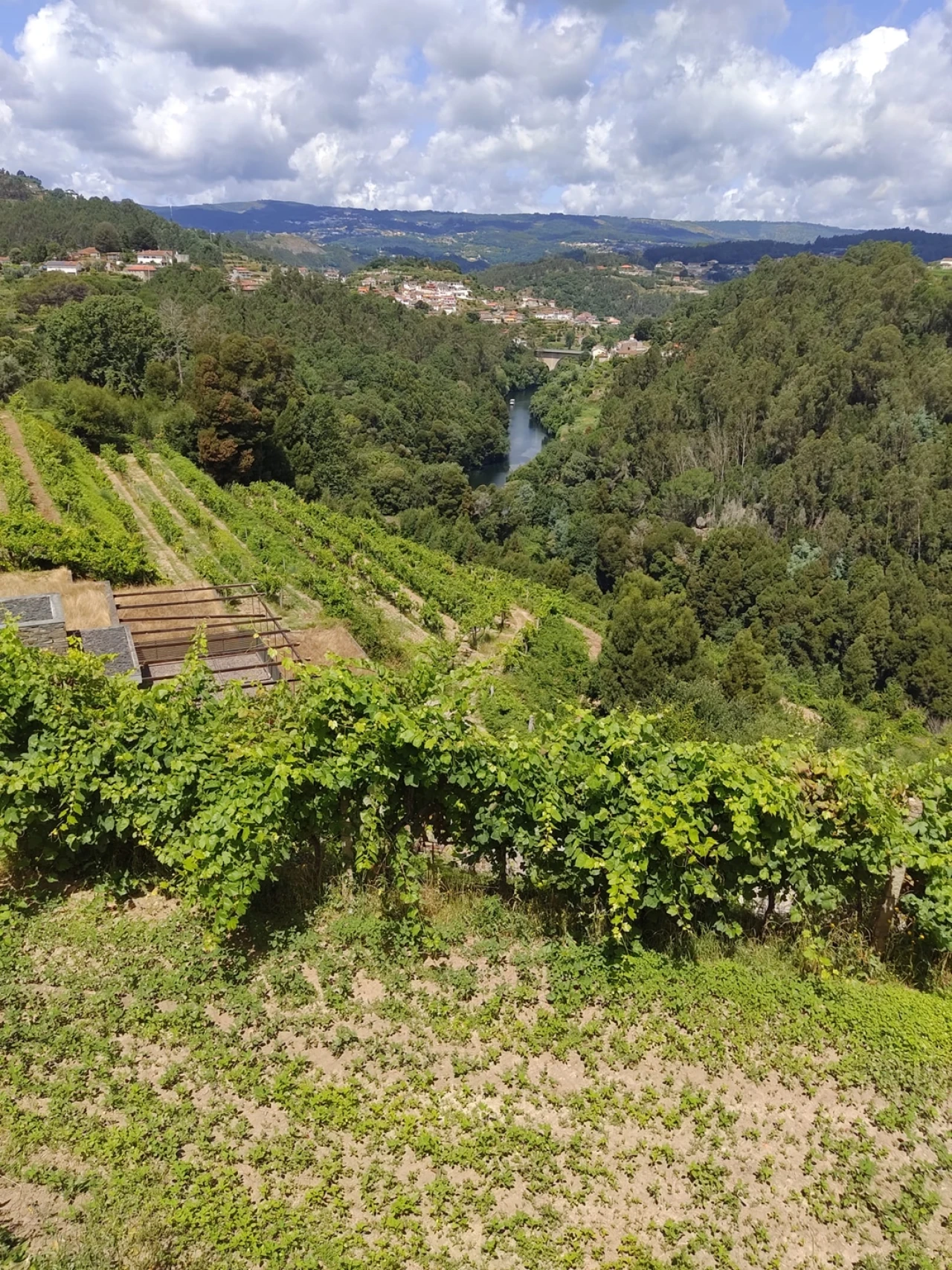 Quinta T7 para Venda em Fornos Foto 15