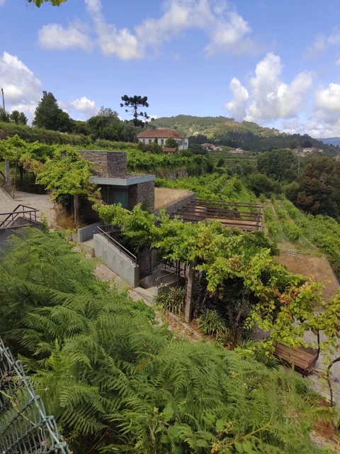 Quinta T7 para Venda em Fornos