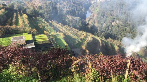 Quinta T7 para Venda em Fornos
