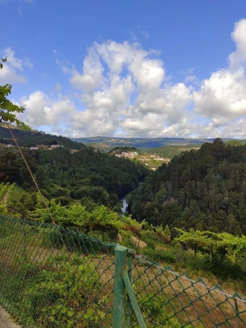 Quinta T7 para Venda em Fornos