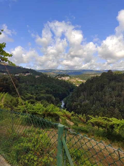 Quinta T7 para Venda em Fornos