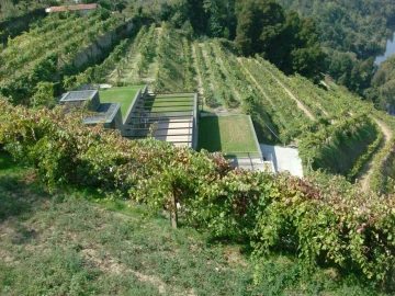 Quinta T7 para Venda em Fornos
