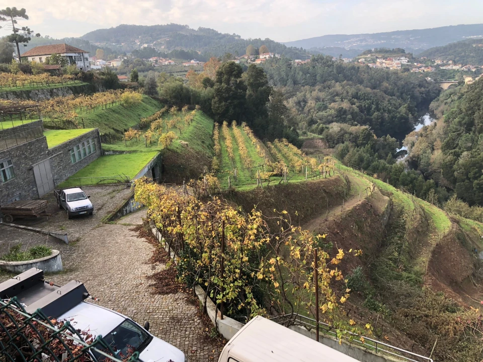 Quinta T7 para Venda em Fornos Foto 18
