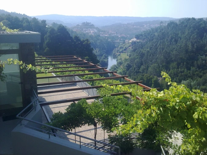 Quinta T7 para Venda em Fornos Foto 6